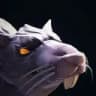 Dire Rat